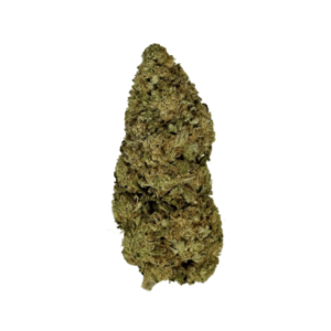 Gelato